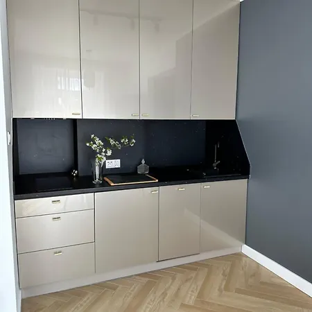 Zeromskiego Centrum Wysoki Standard Samodzielne Wejscie Apartment